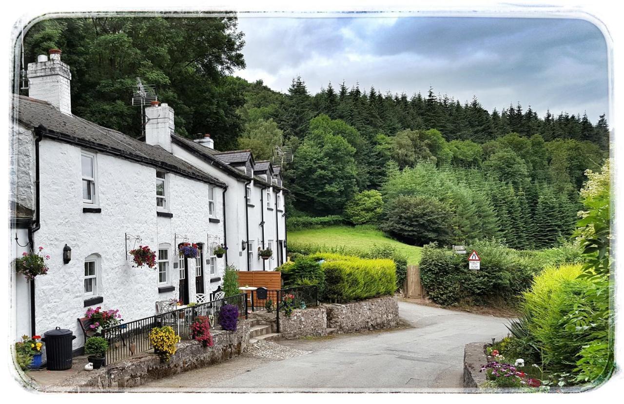 River Cottage St Asaph Exterior foto