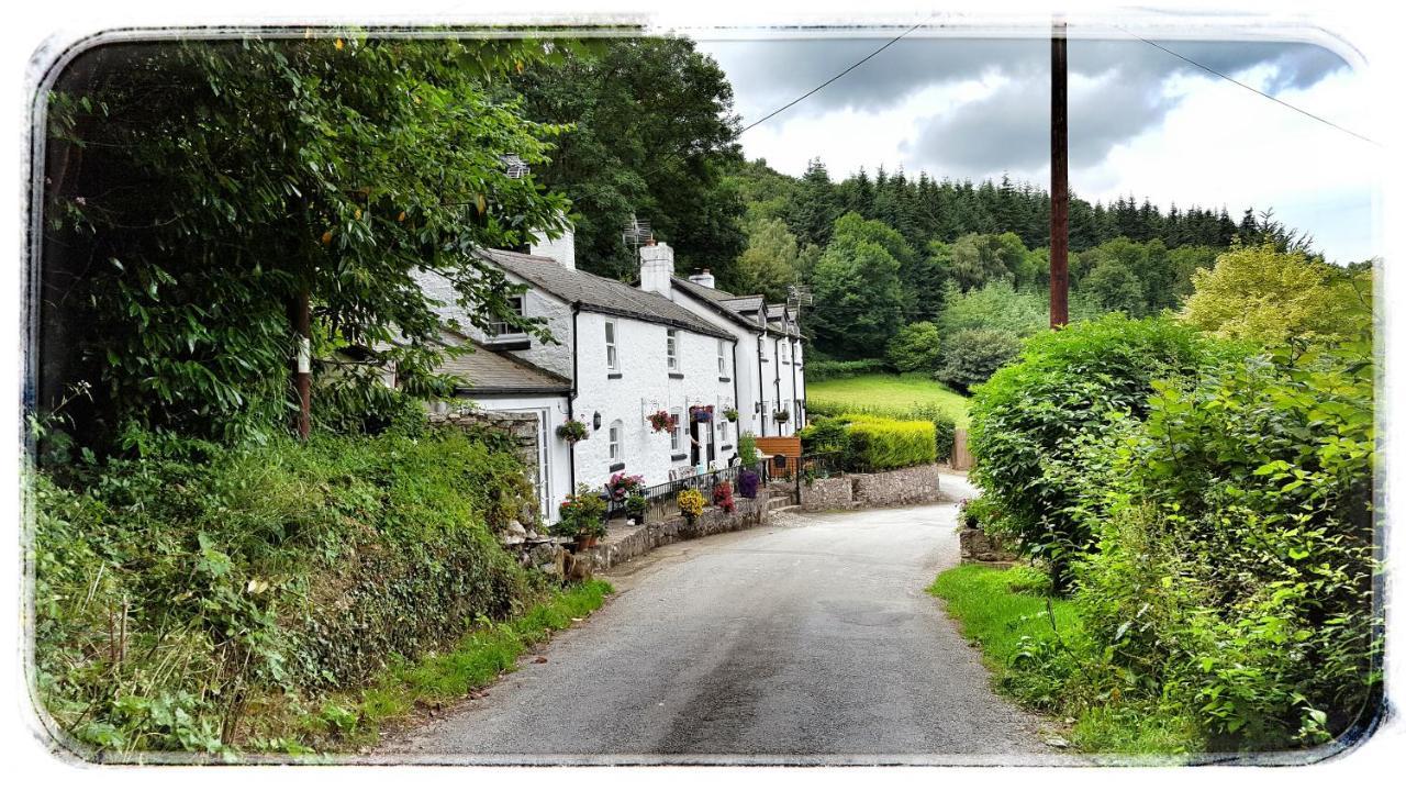 River Cottage St Asaph Exterior foto