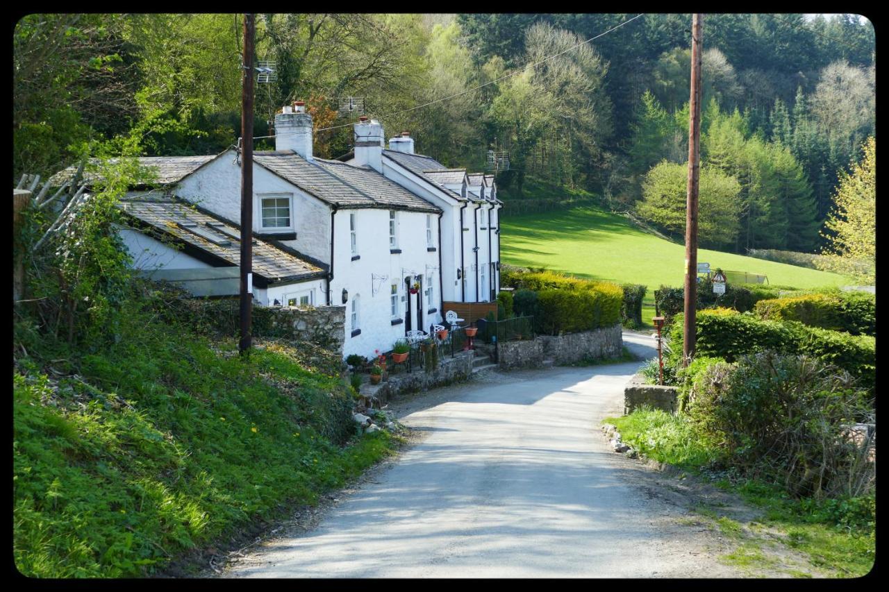 River Cottage St Asaph Exterior foto