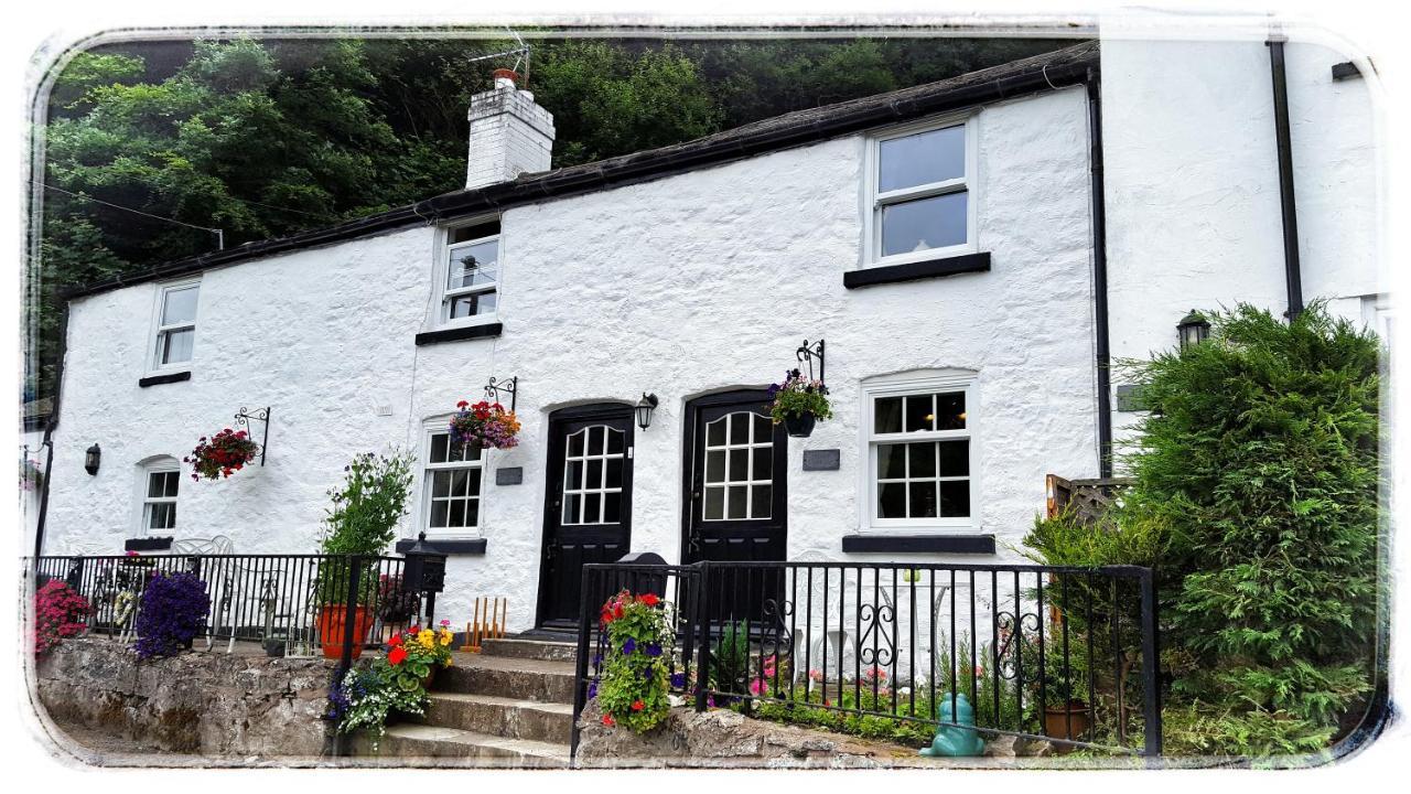 River Cottage St Asaph Exterior foto